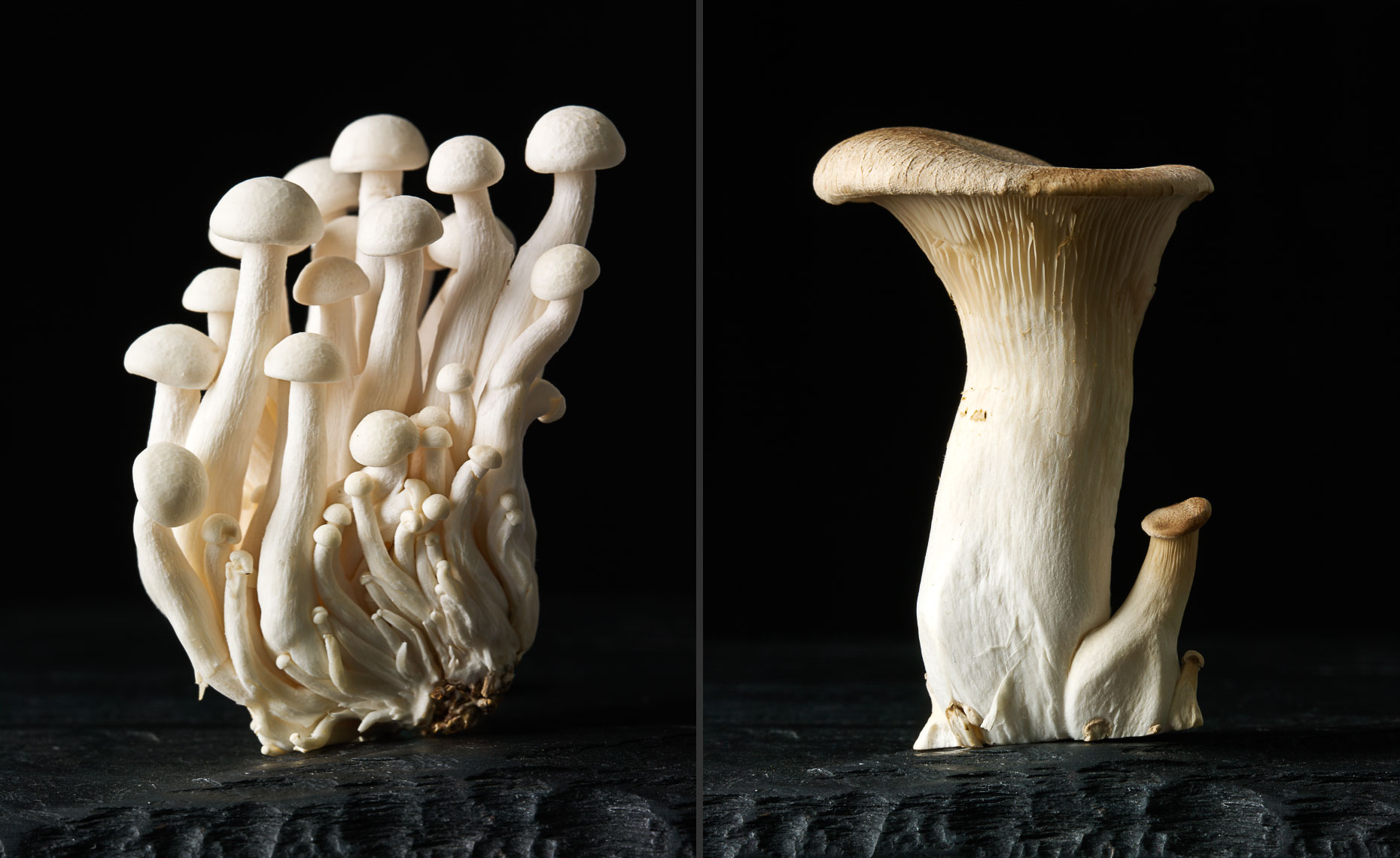 MushroomsOnSlate_CHP