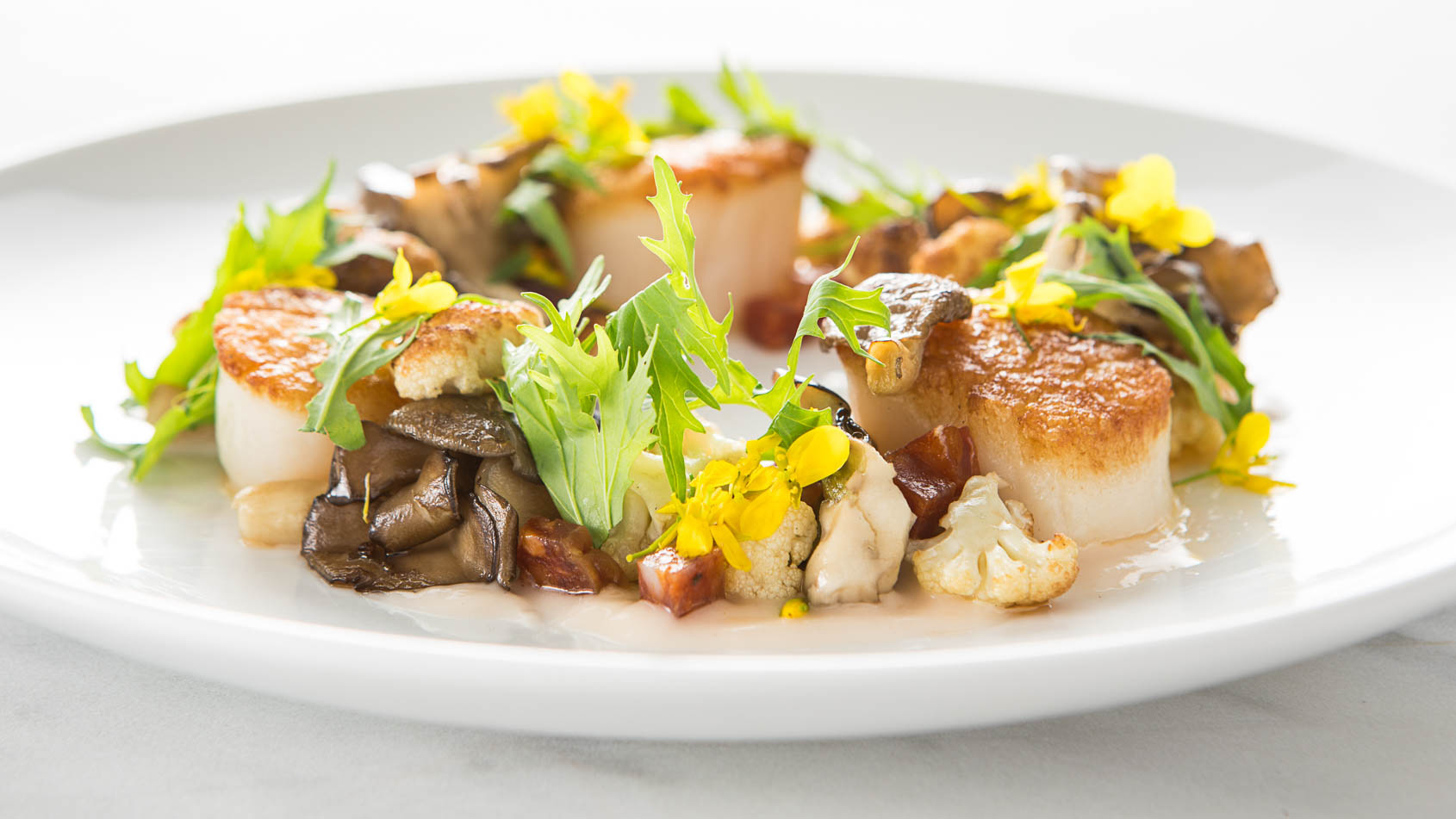 Scallops_mushrooms_greens